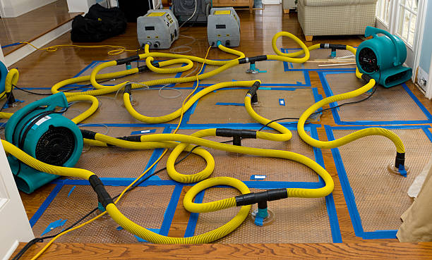 Professional Flood Damage Restoration technician working in Finley, WA